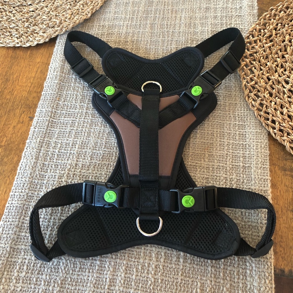 Harness